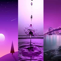 Ungu Purple Wallpaper